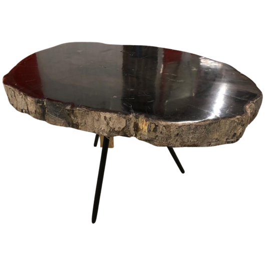 Petrified Wood Coffee Table