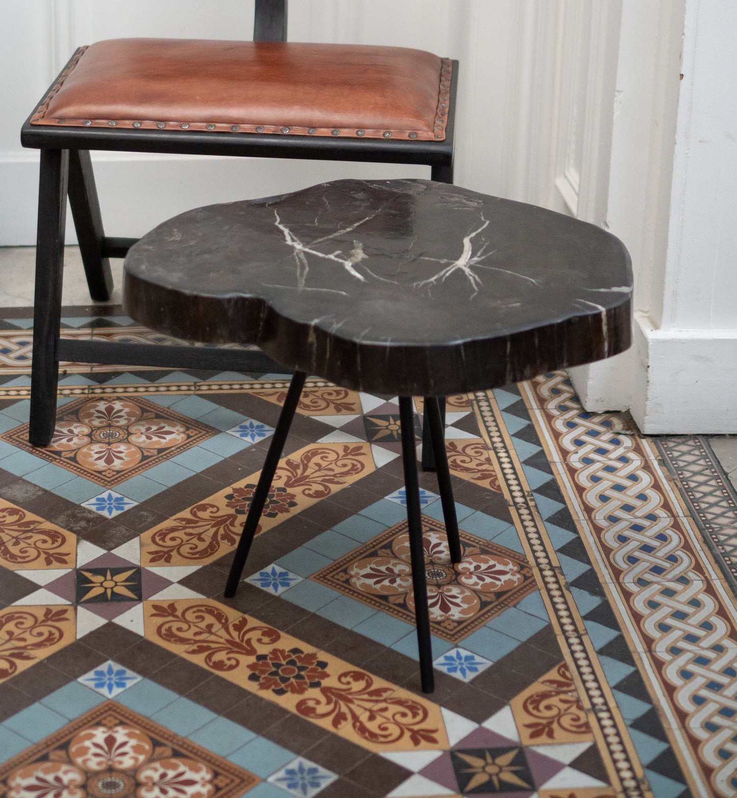 Petrified Wood Coffee Table