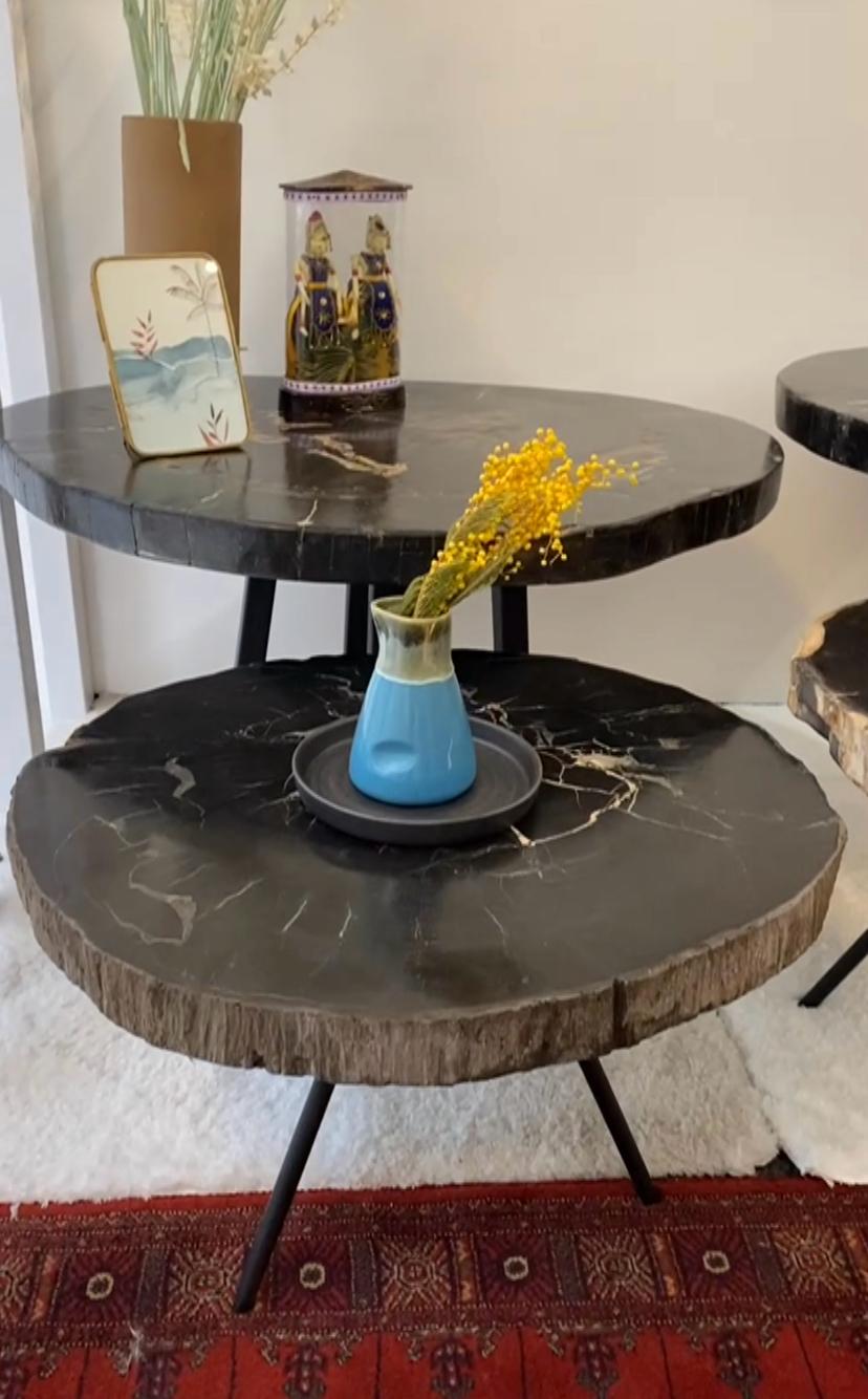 Petrified Wood Coffee Table