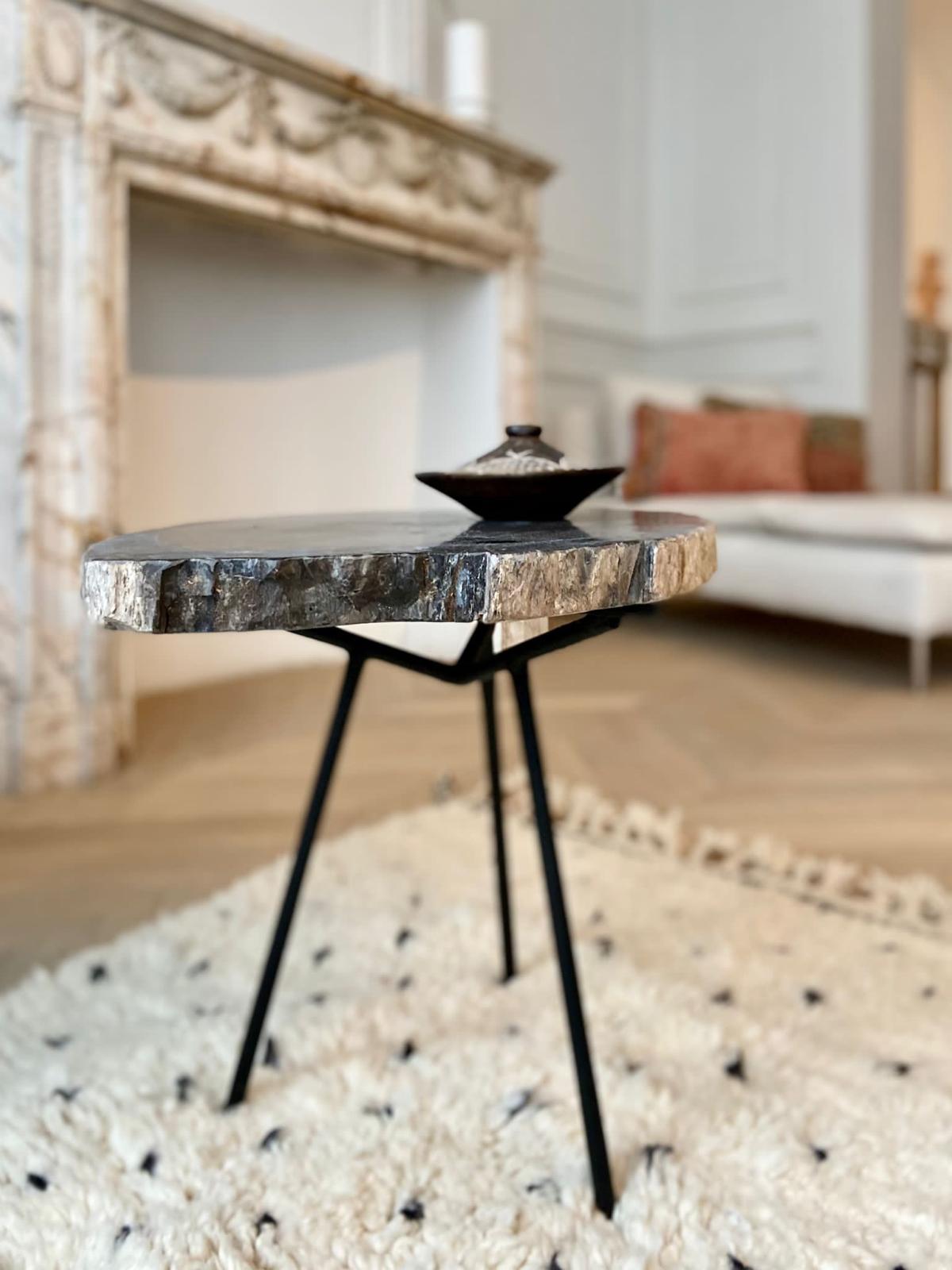 Petrified Wood Coffee Table