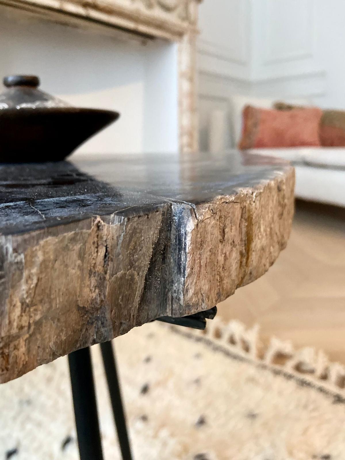 Petrified Wood Coffee Table