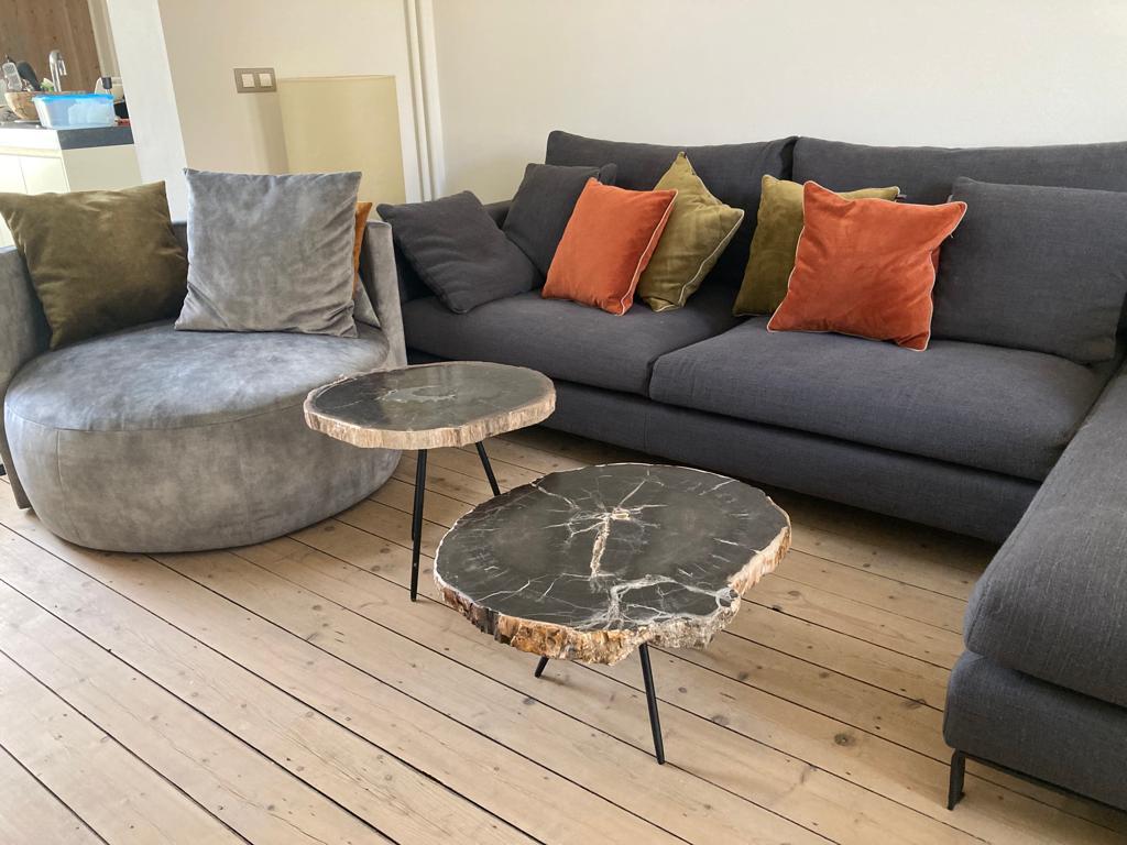 Petrified Wood Coffee Table