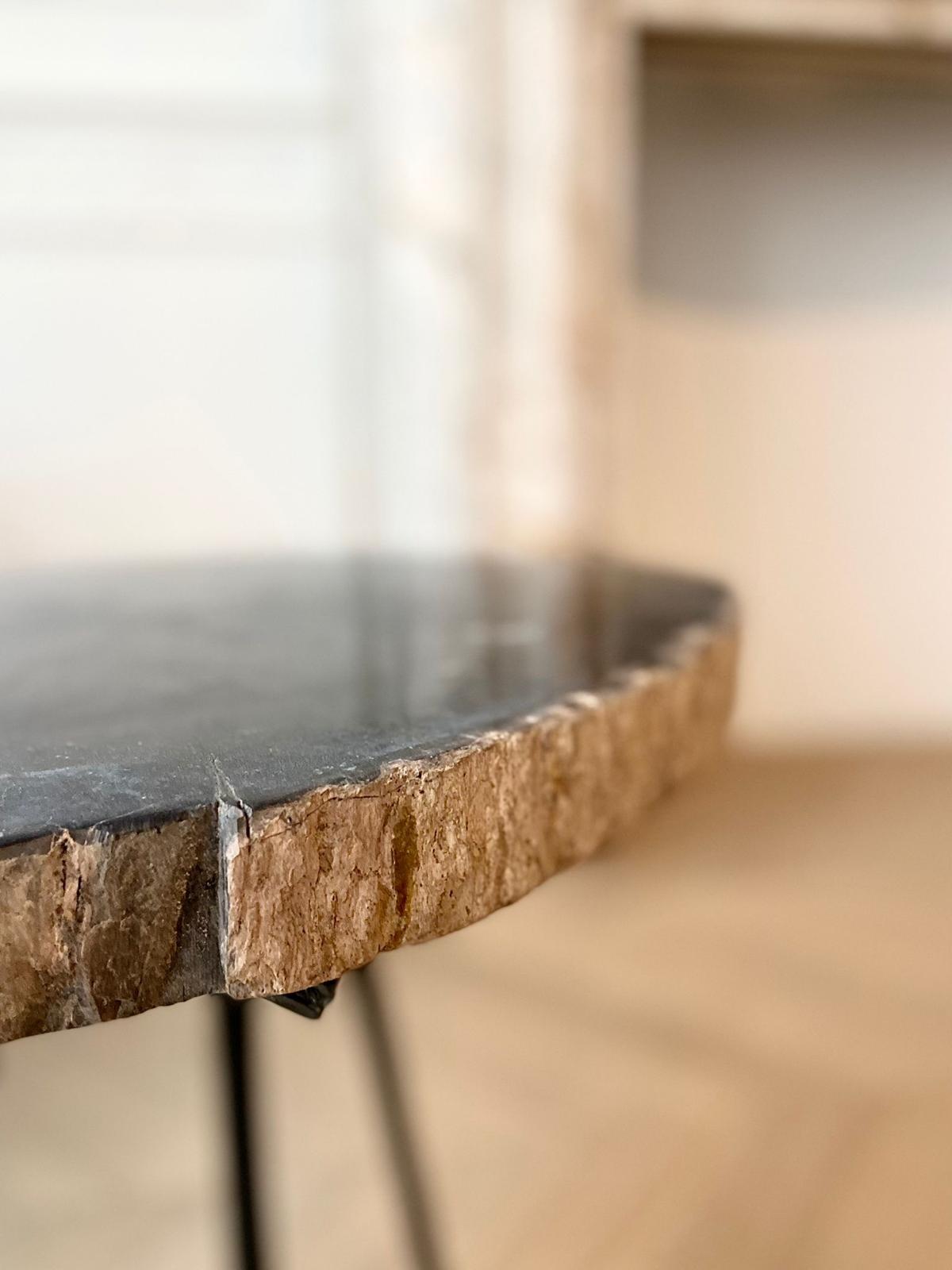 Petrified Wood Coffee Table